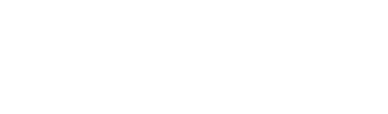 American Resolve Institute